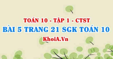 Bài 5 trang 21 SGK Toán 10 tập 1 Chân trời sáng tạo